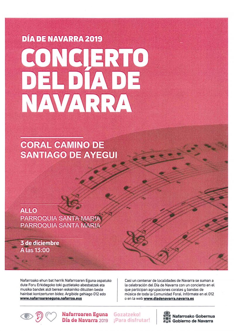 CONCIERTO DEL DÍA DE NAVARRA